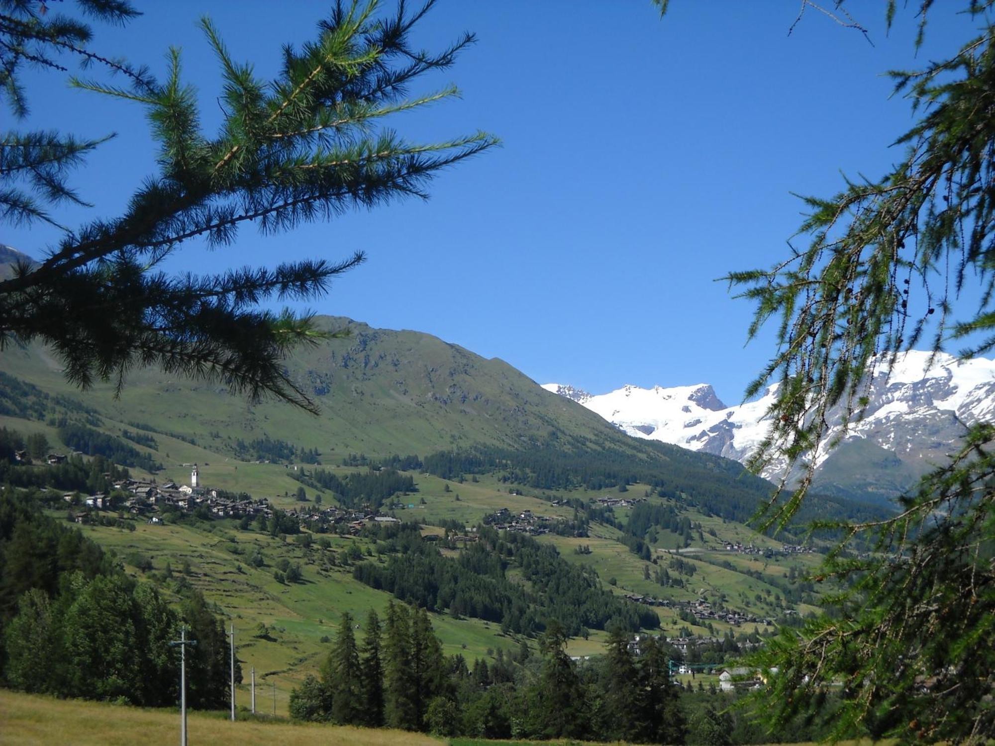 Residence Les Myosotis Champoluc Exteriér fotografie